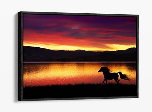 Running horse silhouette - running,