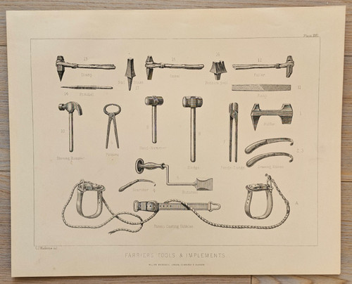 1898 antique farriery - antique, print