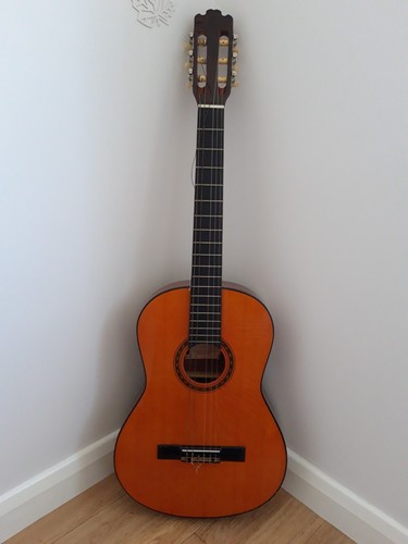 Vintage harmony string - 6,