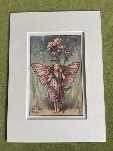 Yarrow flower fairy - ‘yarrow’,