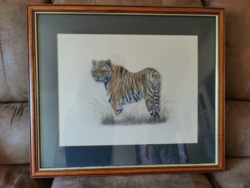 Huge 65x56cm glazed - huge, framed