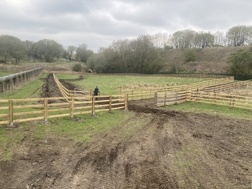 Fence panels 6x6 - fence,