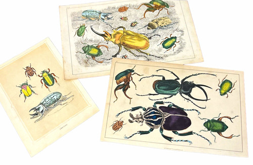 Rare antique hand colored - rare, hand-colored