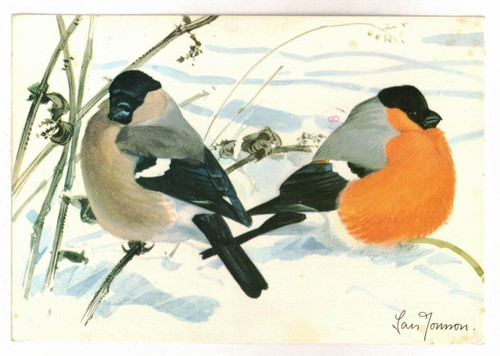 1982 art bull finch - 1982, pc: