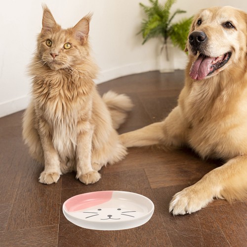 Household cat plate - household, indoor