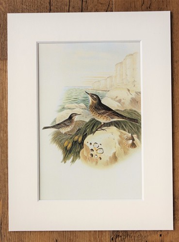 John gould 1970s - john,
