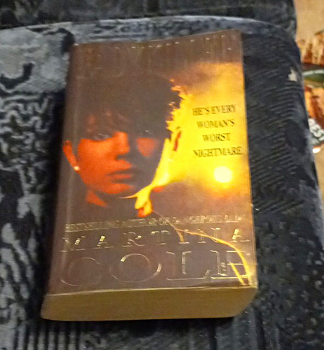 Martina cole dangerous lady - martina,