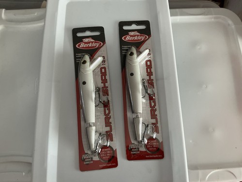 Berkeley jointed surge - jointed, shad