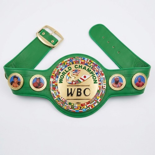 Wbc world champion boxing belt - champion,