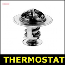 Thermostat Fits BEDFORD CF