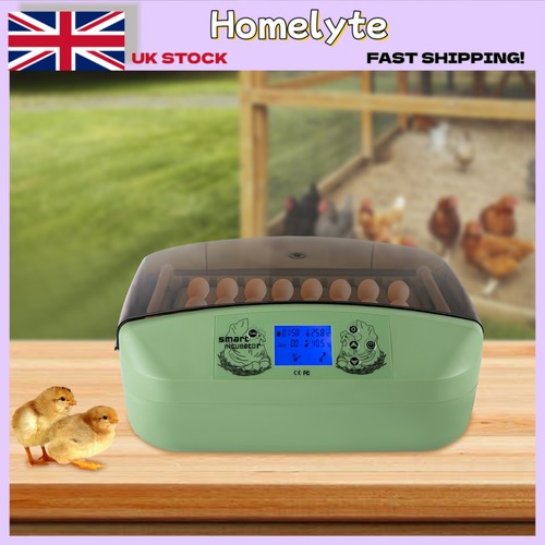 Smart mini egg incubator - smart, 32