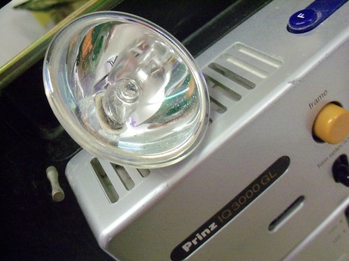 Projector bulb lamp - 12v, 100w