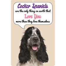 Blue Roan Cocker Spaniel dog