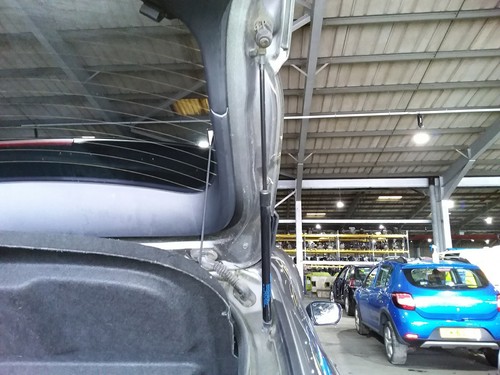 Boot tailgate support - tailgate, strut