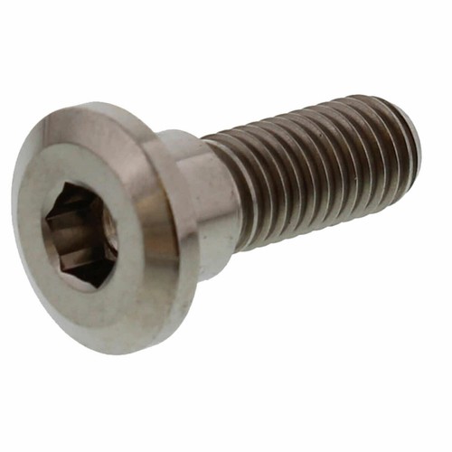 Brake disc bolt - disc, 24