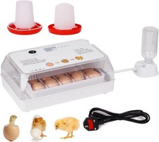 Egg incubator fully - 15,