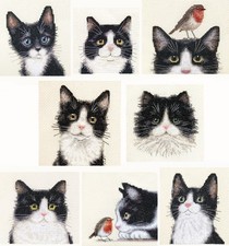 Black white tuxedo cat - black, &