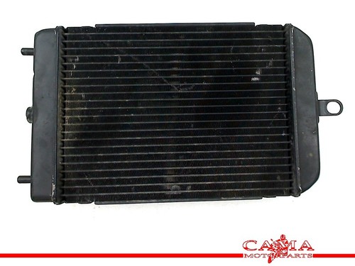 Radiator kawasaki 5 - radiator,