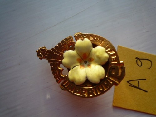 Vintage primrose league - vintage,