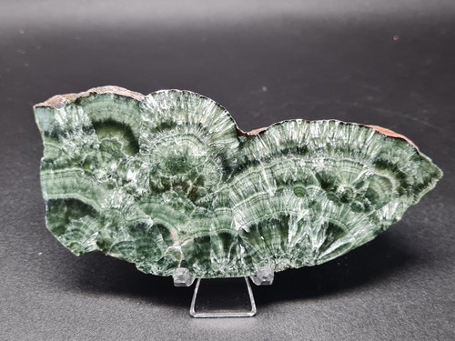 Semi polished seraphinite - semi-polished,