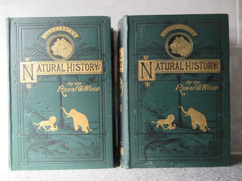 The natural history man - natural,
