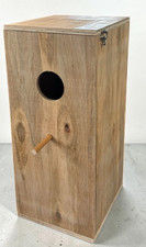 Cockatiel parakeet nesting - parakeet.,