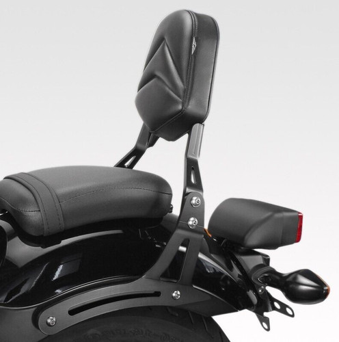 Passenger backrest dpm - passenger,