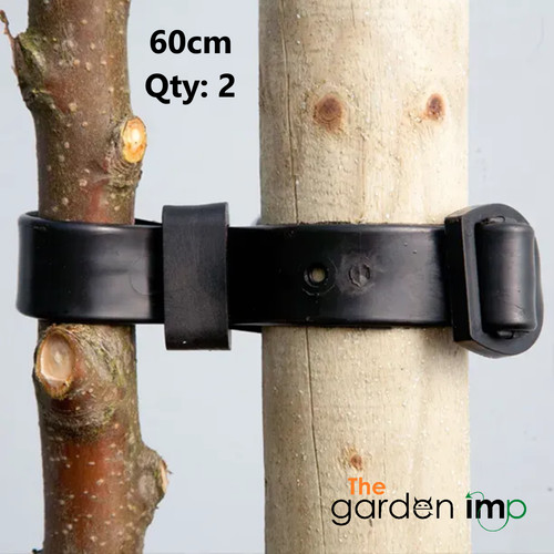 Tree ties buckle adjustable - ties,