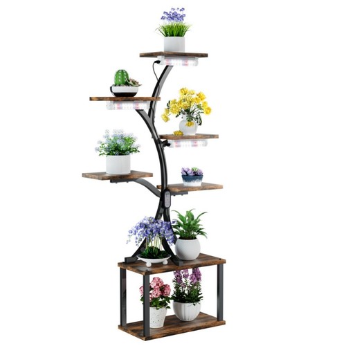 Tall corner bonsai - bonsai, tree