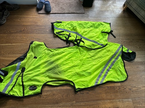 Ride reflective rug - on,