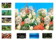 Aquarium /Vivarium Plastic