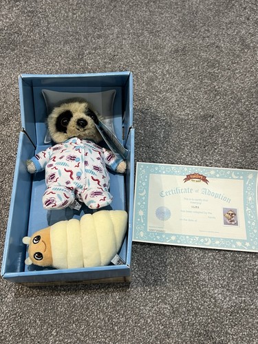 Baby oleg meerkat meerpup - meerkat, and