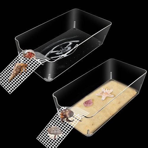 Pack hermit crab water tank - hermit,