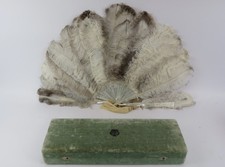 Antique c19th boxed ostrich - boxed,