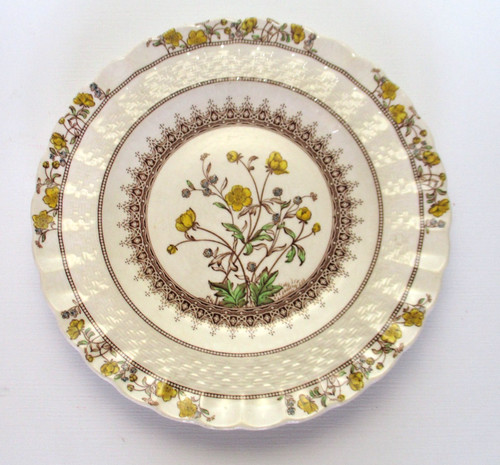 Spode copeland buttercup - copeland,