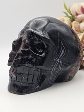 ✨️SALE✨️ X Large Black