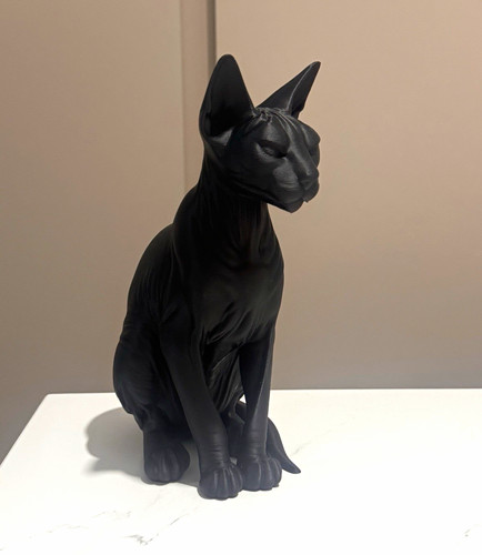 Black sphynx cat - bust, /