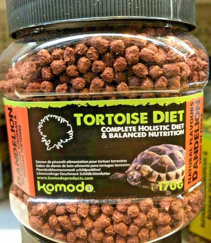 Tortoise food dandelion - tortoise,