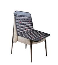 Firzone CP2 Crystal PEMF Mat