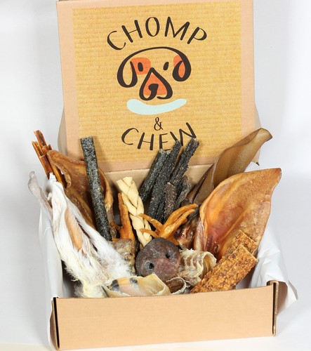 Puppy chomper box - chomper, |100%