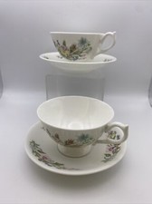 Aynsley Wild Tudor Cup And