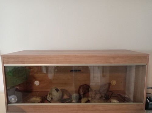 Reptile vivarium 4ft - 4ft, x