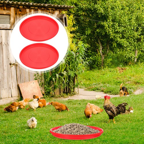 Pcs chicken food container - ,