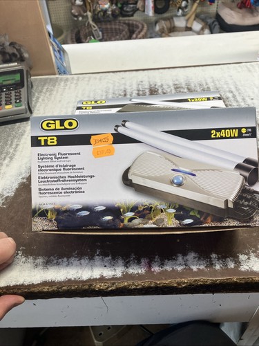 Hagen glo twin - hagen, 2
