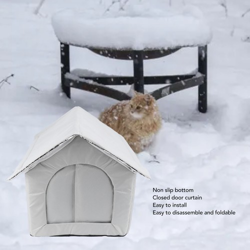 Gray outdoor cat house water - cat,