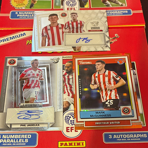 Panini efl sheffield united - panini,