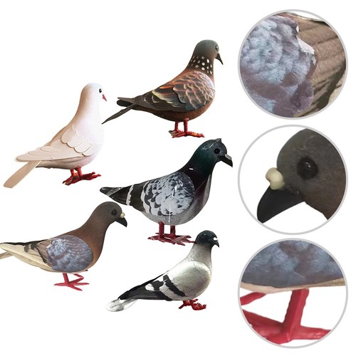 Foam pigeon replica for - replica, shelf
