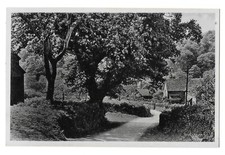 RP Horner Porlock Exmoor Unknown publisher real photo postcard Minehead Somerset