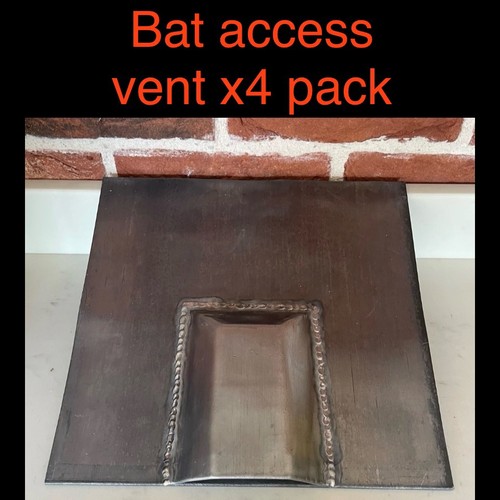 Lead bat access roof - bat,
