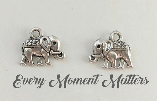 Tibetan silver elephant - tibetan,